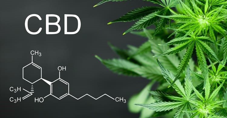 CBD Oil Koi Naturals Debary 
      FL 32713
